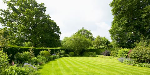 lawn surrounded by border planting the high res stock photography 126016171 1544814204