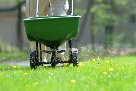 spring lawn preparation, 6 steps to prepare your lawn for summer