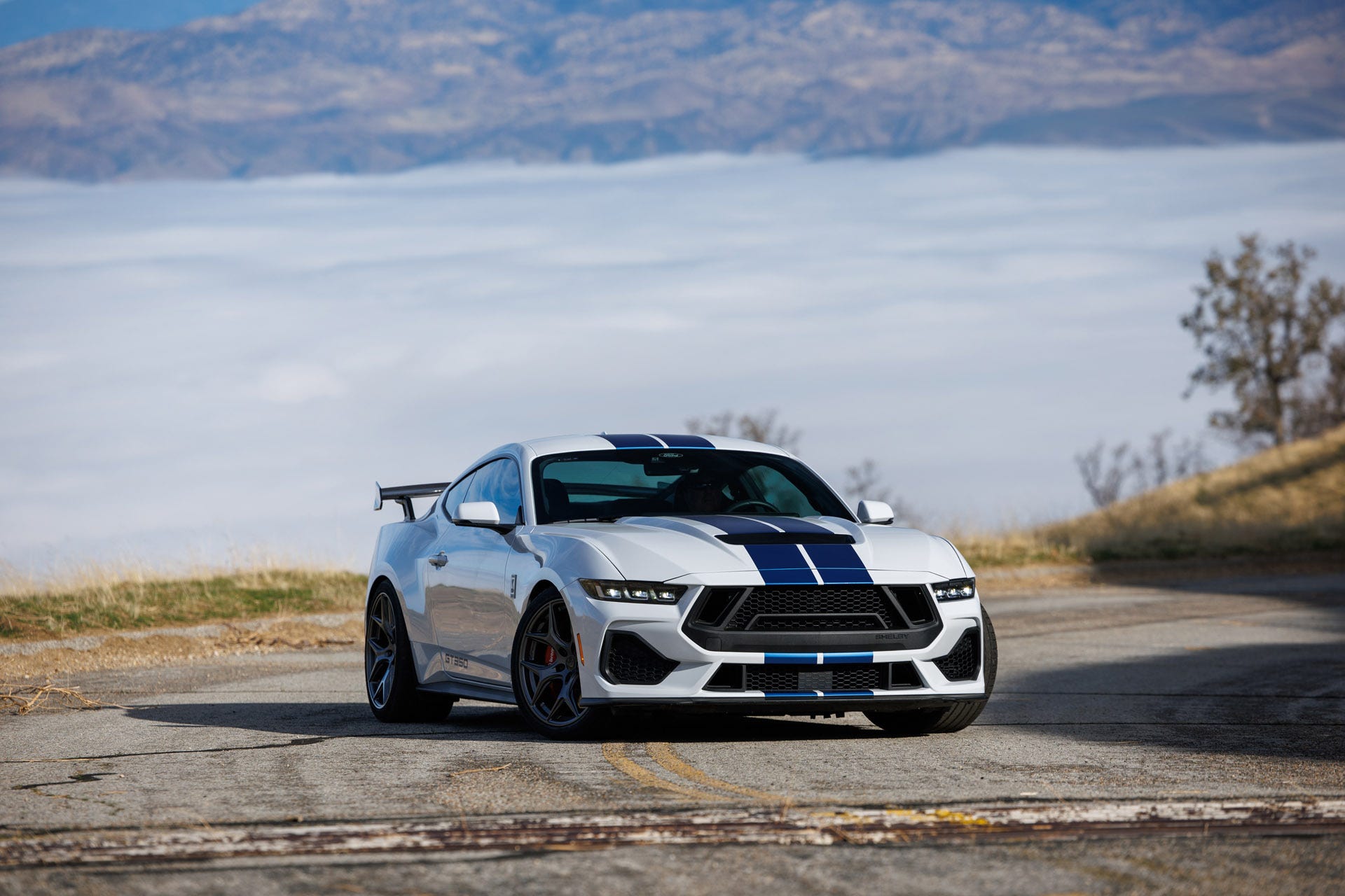 The Ford Mustang Shelby GT350 Has Returned