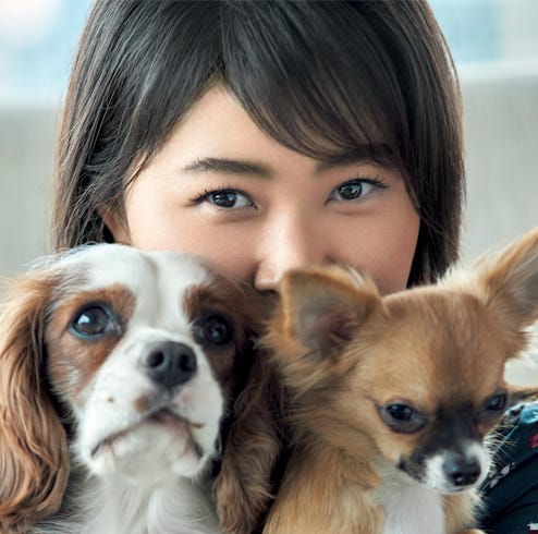 村上佳菜子さん Viviちゃん Chicoちゃんのペットライフを特別公開 村上佳菜子さん Viviちゃん Chicoちゃんのペットライフを特別公開