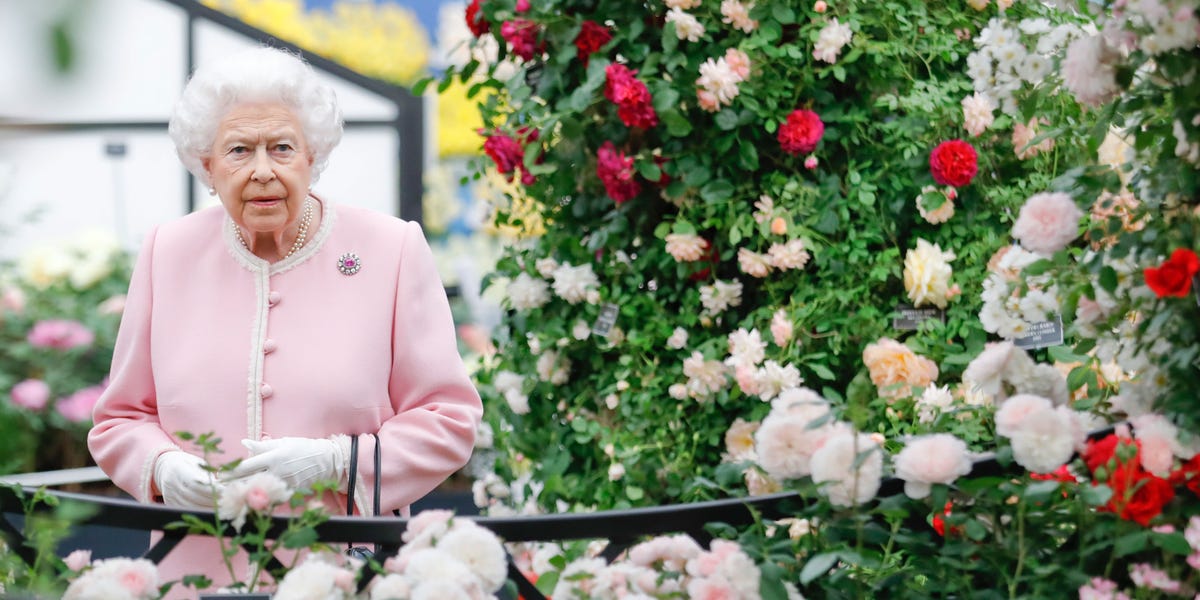 Discover Chelsea Flower Show’s most beautiful gardens