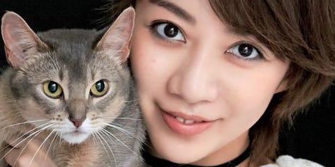 ふてニャンのcmでブレイク ふて顔の スター猫 春馬の 意外なプライベートをウォッチ ふてニャンのcmでブレイク ふて顔の スター猫 春馬の 意外なプライベートをウォッチ