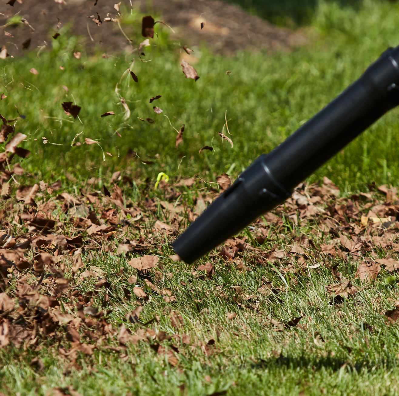 Don't Believe the Headlines: You Can Use a Leaf Blower Responsibly