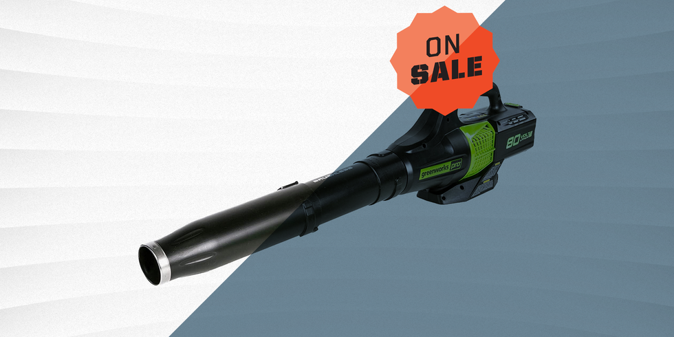 You Can Get This Lightweight Cordless Leaf Blower for 30% Off on Amazon thumbnail