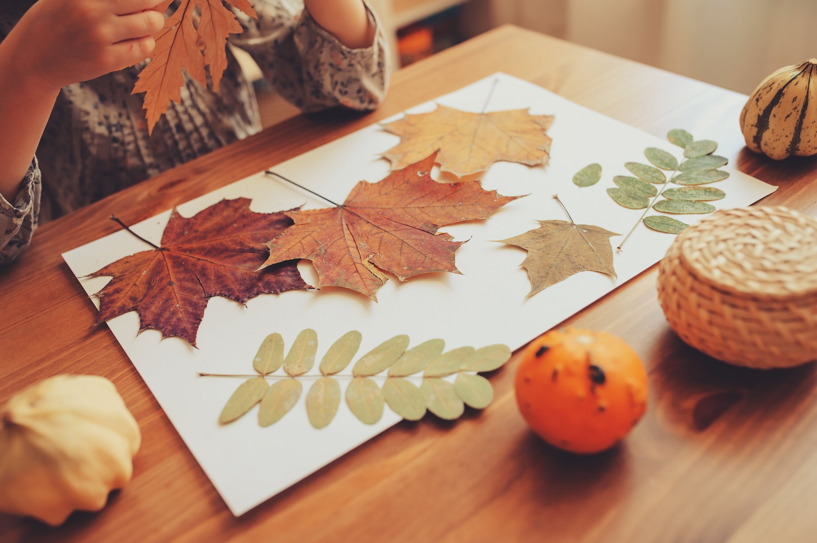 fall paper bowls