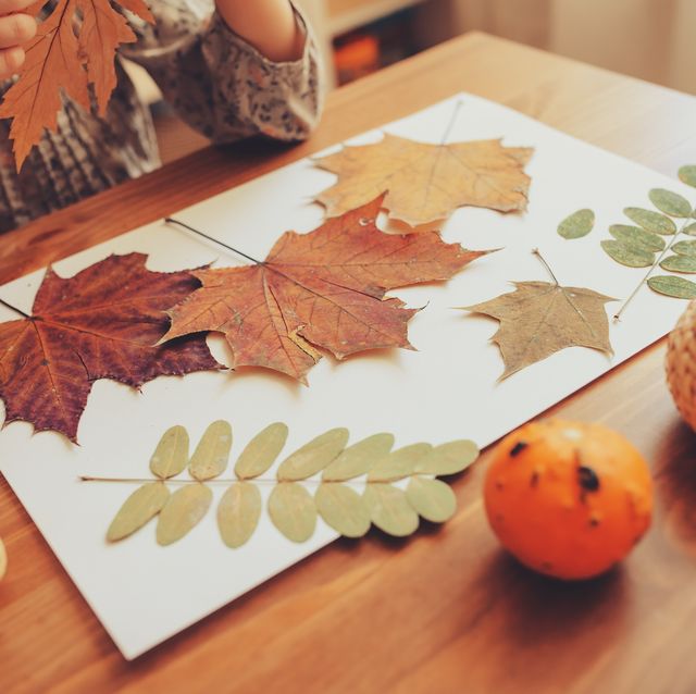 37 Best Fall Leaf Craft Ideas Diy Decorating Projects With Leaves
