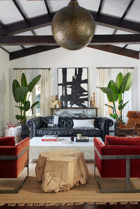 The 18 Best Indoor Trees For Every Kind Of Plant Pa - Modern Indoor Tree Planter The 18 Best Indoor Trees For Every Kind Of Plant Pa - Modern Indoor Tree Planter