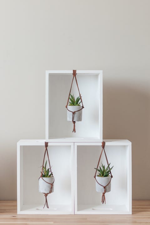 Leather Macrame Hanging Succulent Planter leather macrame hanging succulent planter