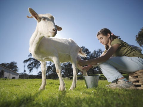 20 alimentos que dan energía