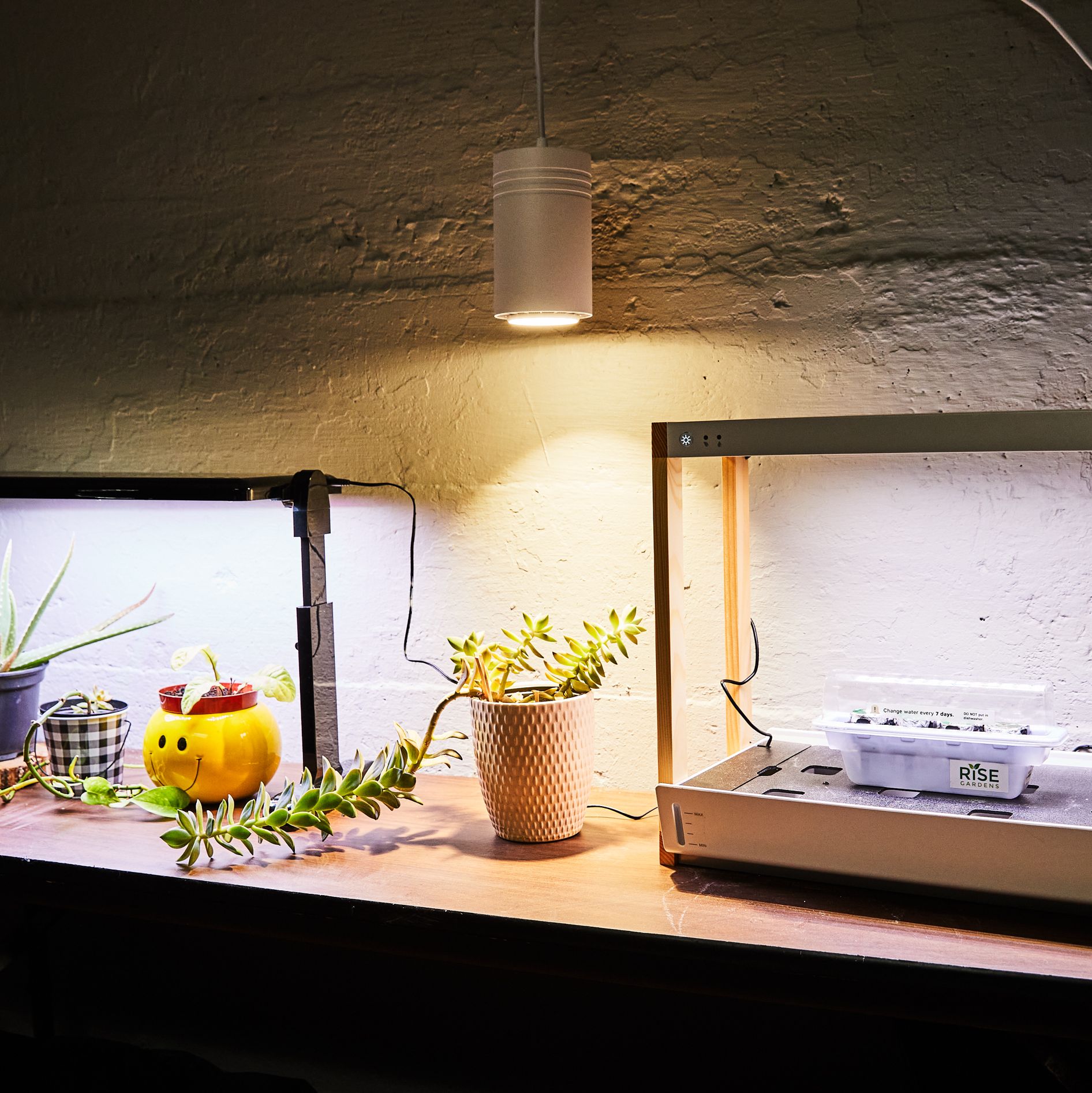 Level Up Your Leafy Friends With the Best Grow Lights for Thriving Plants