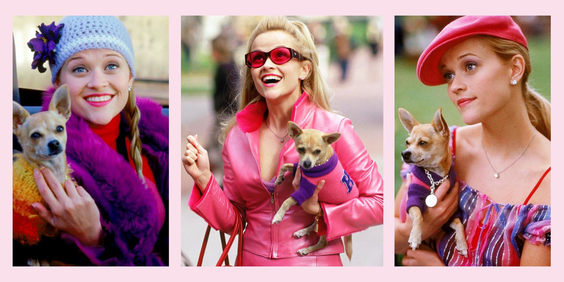 8 Diy Legally Blonde Costumes Legally Blonde Halloween Costume Ideas