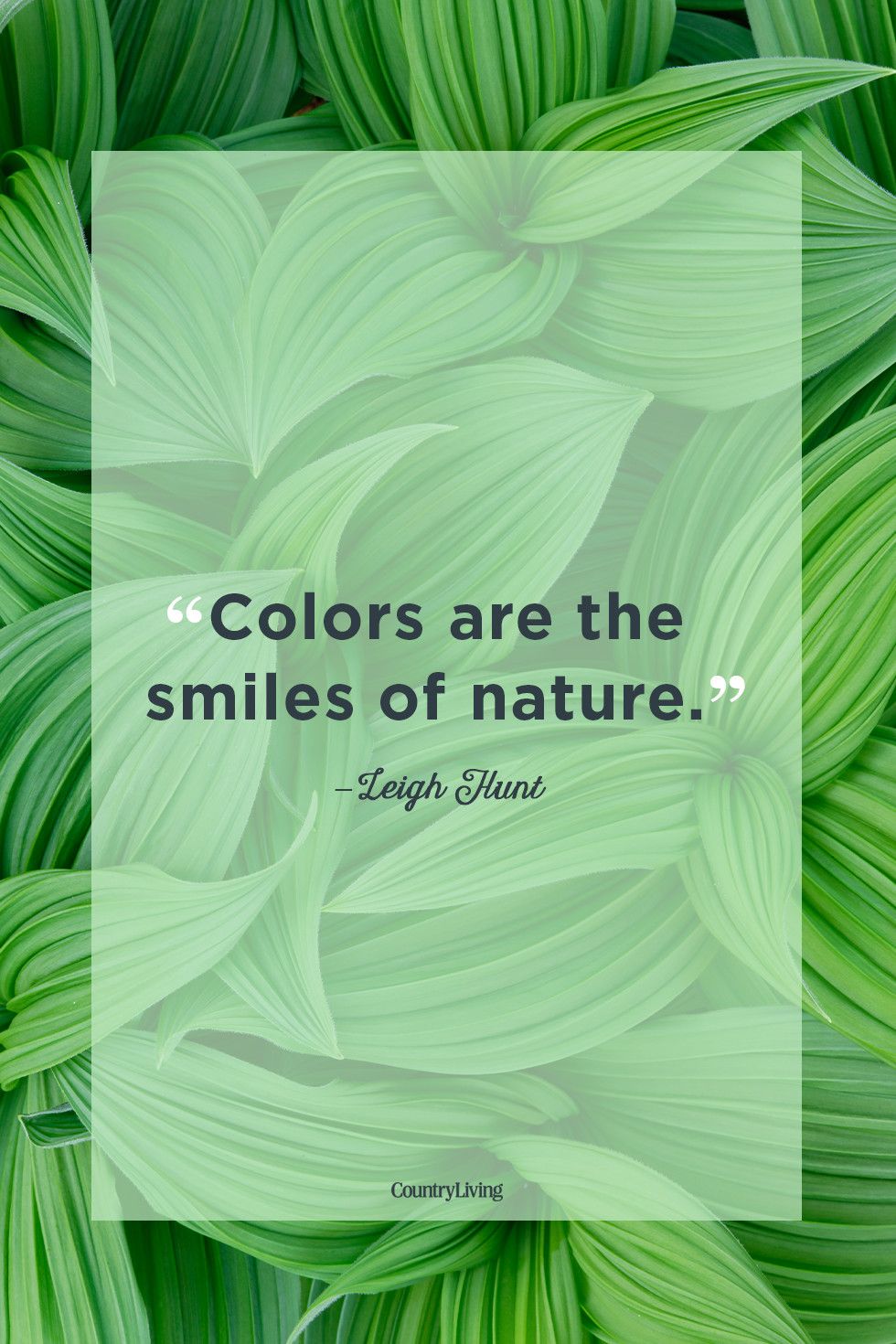 58 Nature Quotes - Inspirational Sayings Nature