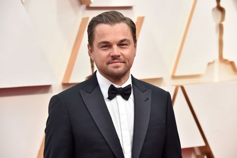 Leonardo DiCaprio and girlfriend Camila Morrone just made their first public appearance at the Oscars