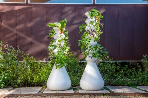 Hydroponics Garden Tower