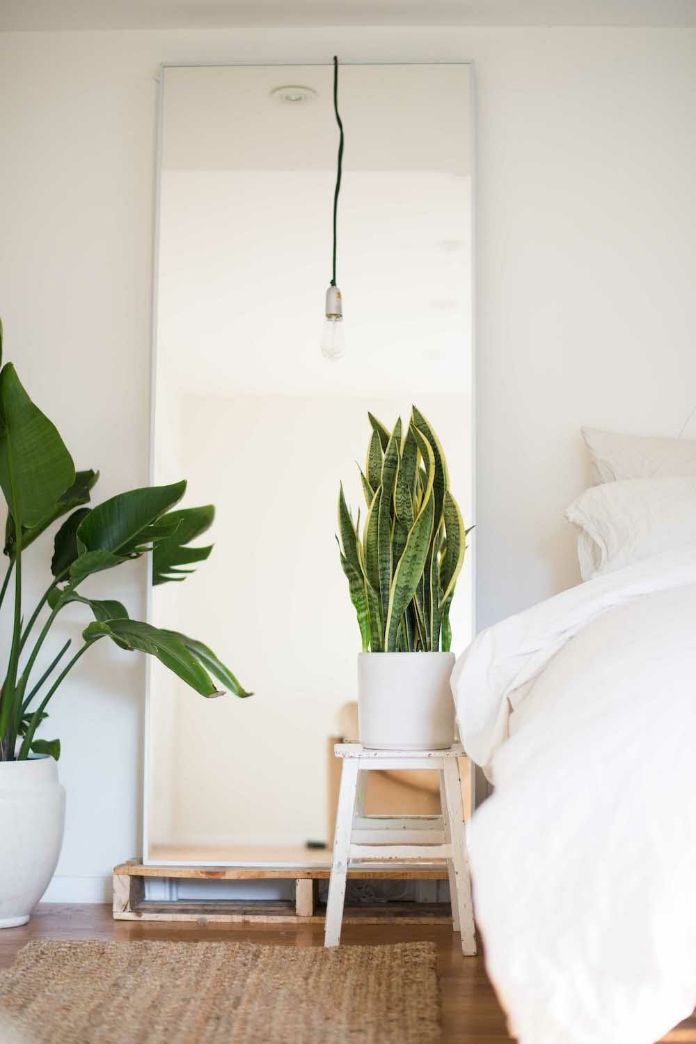 Minimalist Bedroom Ideas Plants | www.cintronbeveragegroup.com