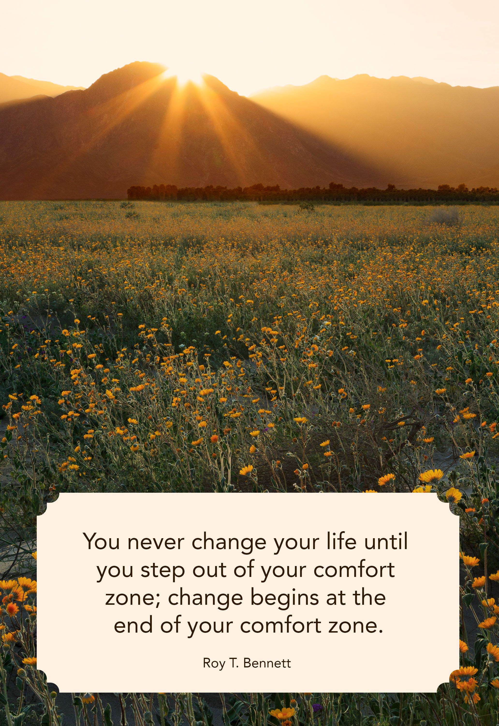 41 Best Quotes About Change - Inspiring Sayings to Navigate Life Changes