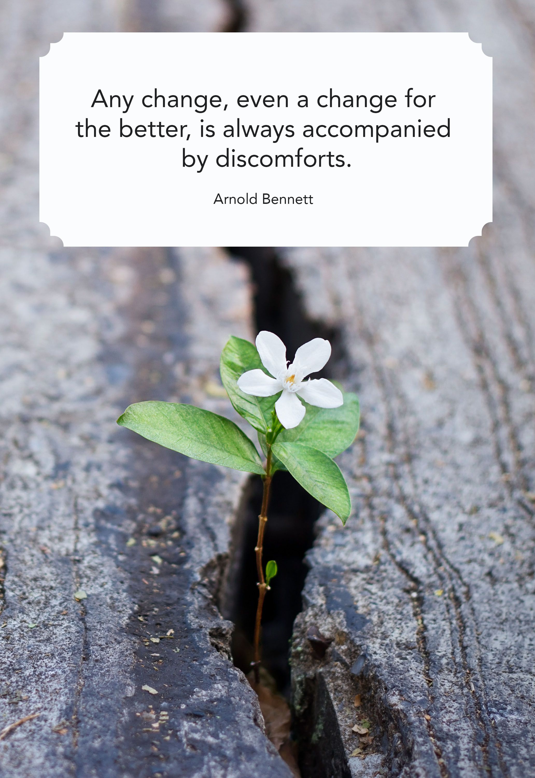 41 Best Quotes About Change Inspiring Sayings To Navigate Life Changes