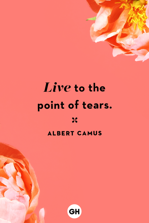 life quotes life quotes