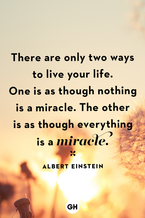 life quotes life quotes