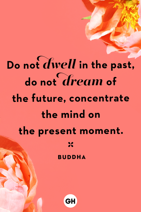 life quotes life quotes