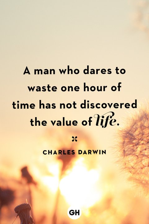 life quotes life quotes