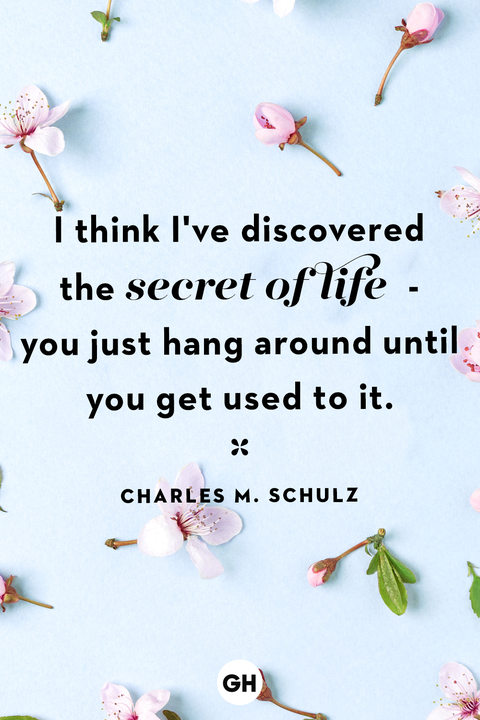 life quotes life quotes