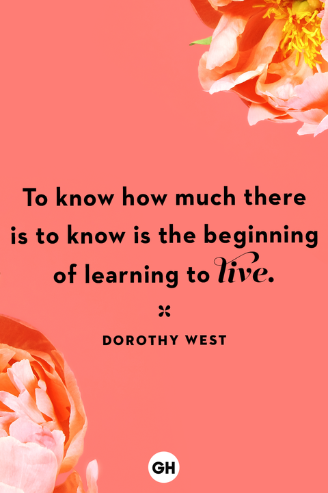 life quotes life quotes