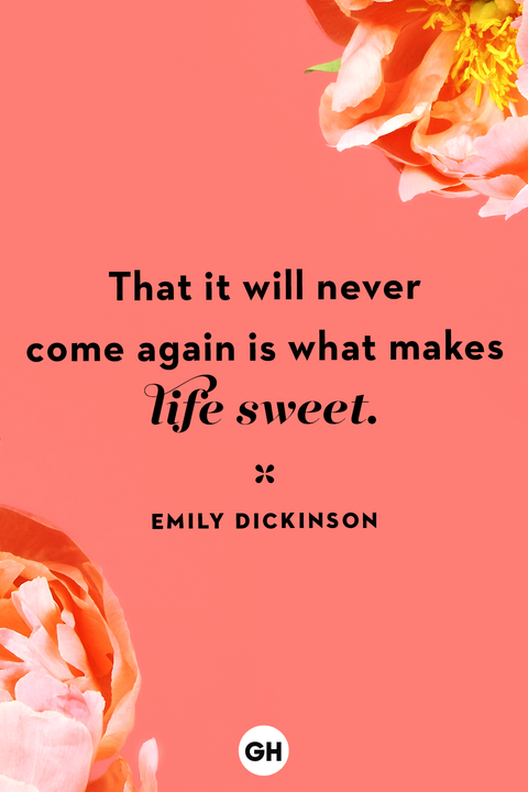life quotes life quotes