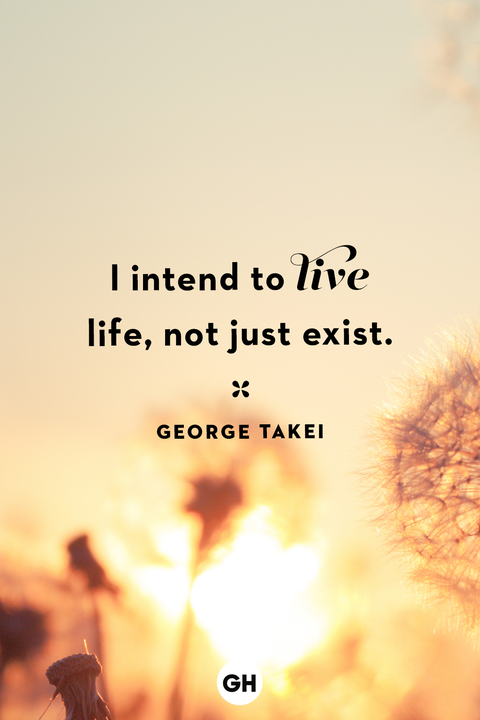life quotes george takei