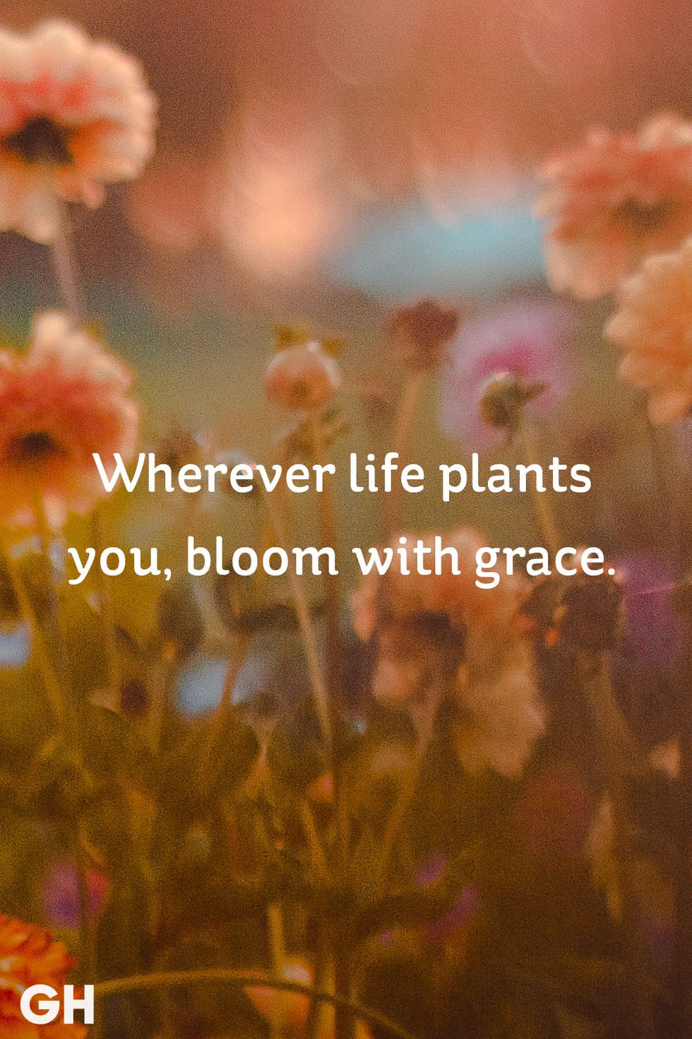 life-quotes-grace-1530194208.jpg?crop=1xw:1xh;center,top&resize=980:*