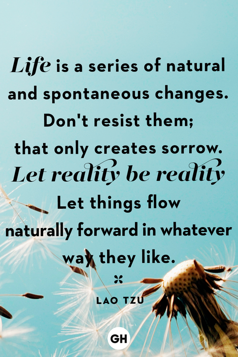 life quotes life quotes