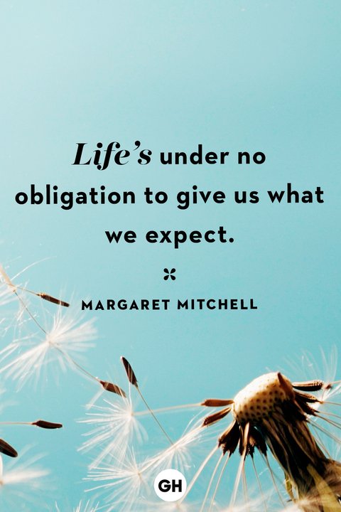 life quotes life quotes