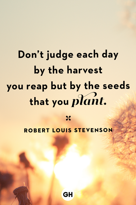 life quotes life quotes