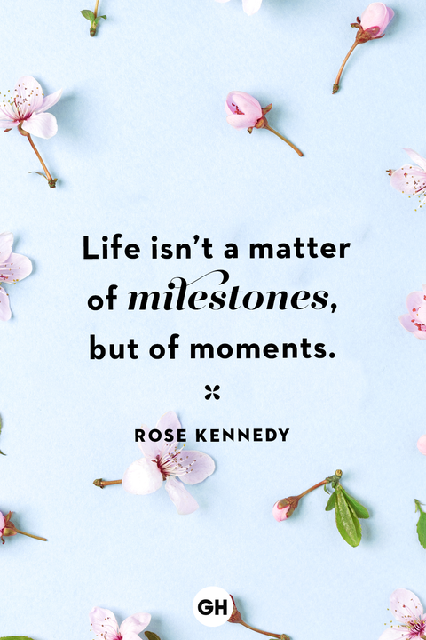 life quotes life quotes