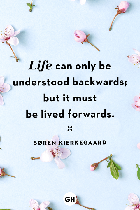 life quotes life quotes
