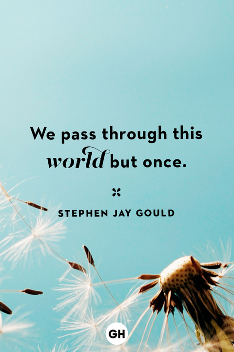 life quotes life quotes