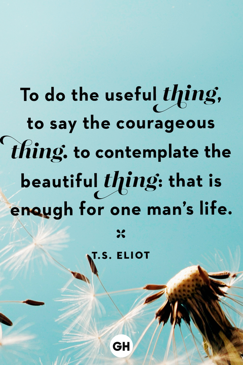 life quotes life quotes