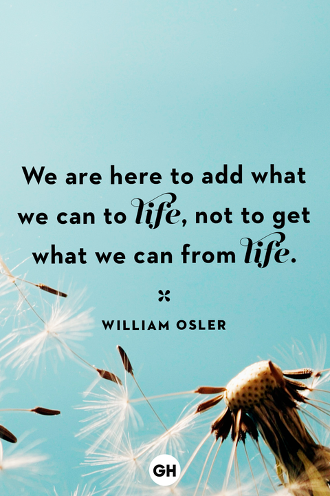 life quotes life quotes