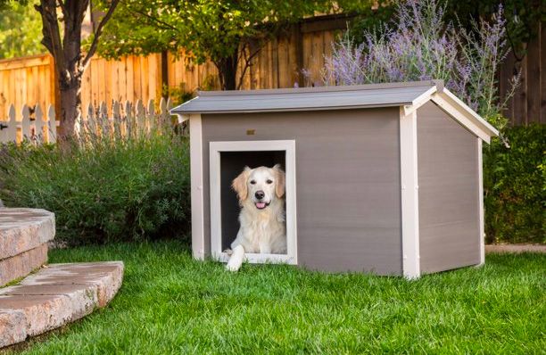 New Age Pet ECOFLEX® Thermocore Outdoor Dog House