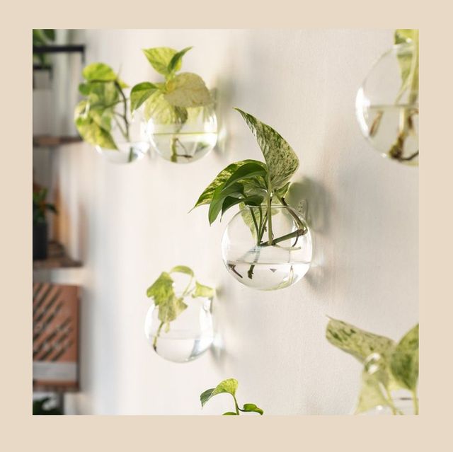 11 Best Wall Planters For Apartment 2021 - What To Plant In Wall Planters
