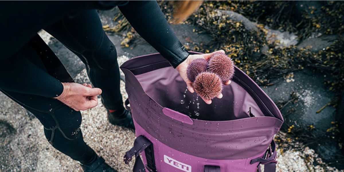YETI on X: Now Available: Peak Purple is inspired by the color of