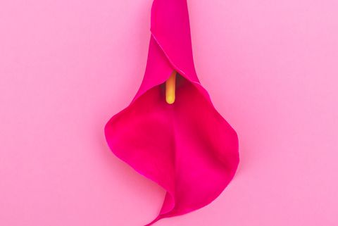 A Guide to Her Vagina