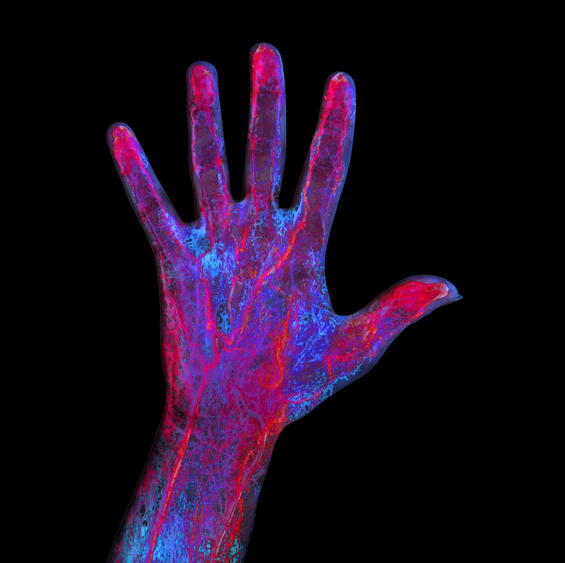 Humans Are One Crucial Step Closer to Regenerating Limbs