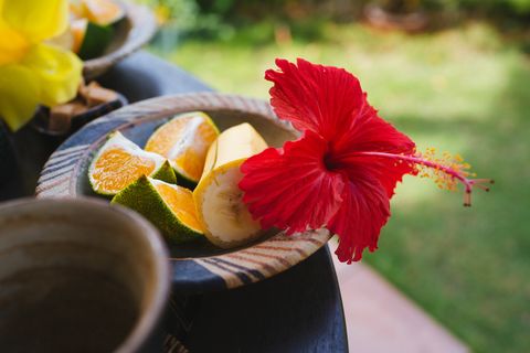 lime and hibiscus