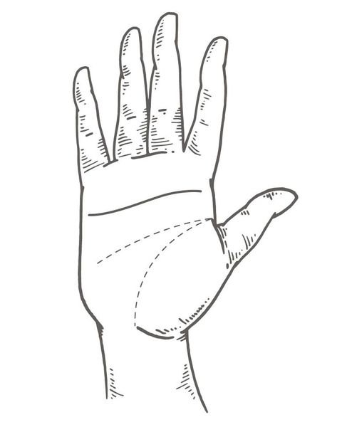 Finger, White, Hand, Line art, Arm, Line, Wrist, Thumb, Gesture, Design, 