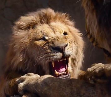 Disney Confirms The Lion King Prequel Casting For Mufasa