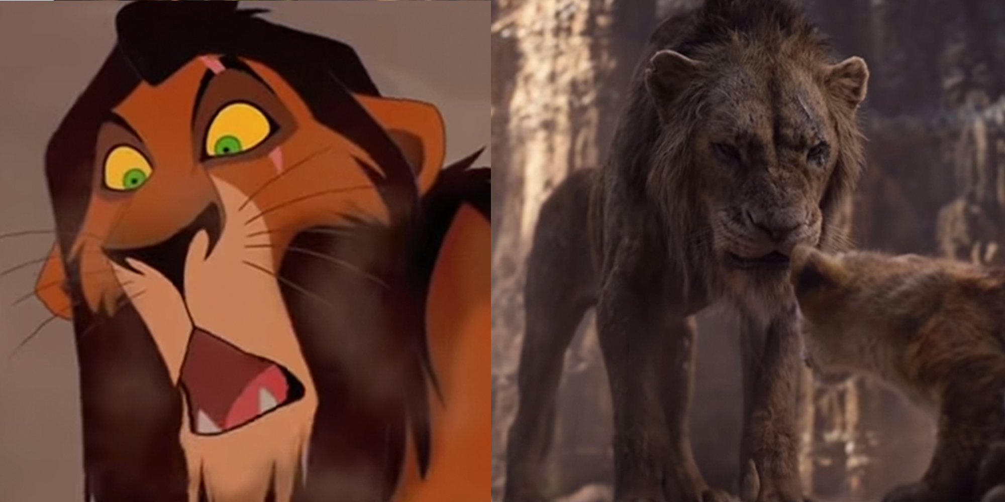 The Lion King 2019 Comparing Remake Animation To The Original