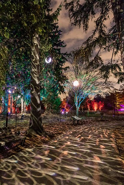 Illumination at Morton Arboretum Lisle Illinois Best Christmas Light Displays