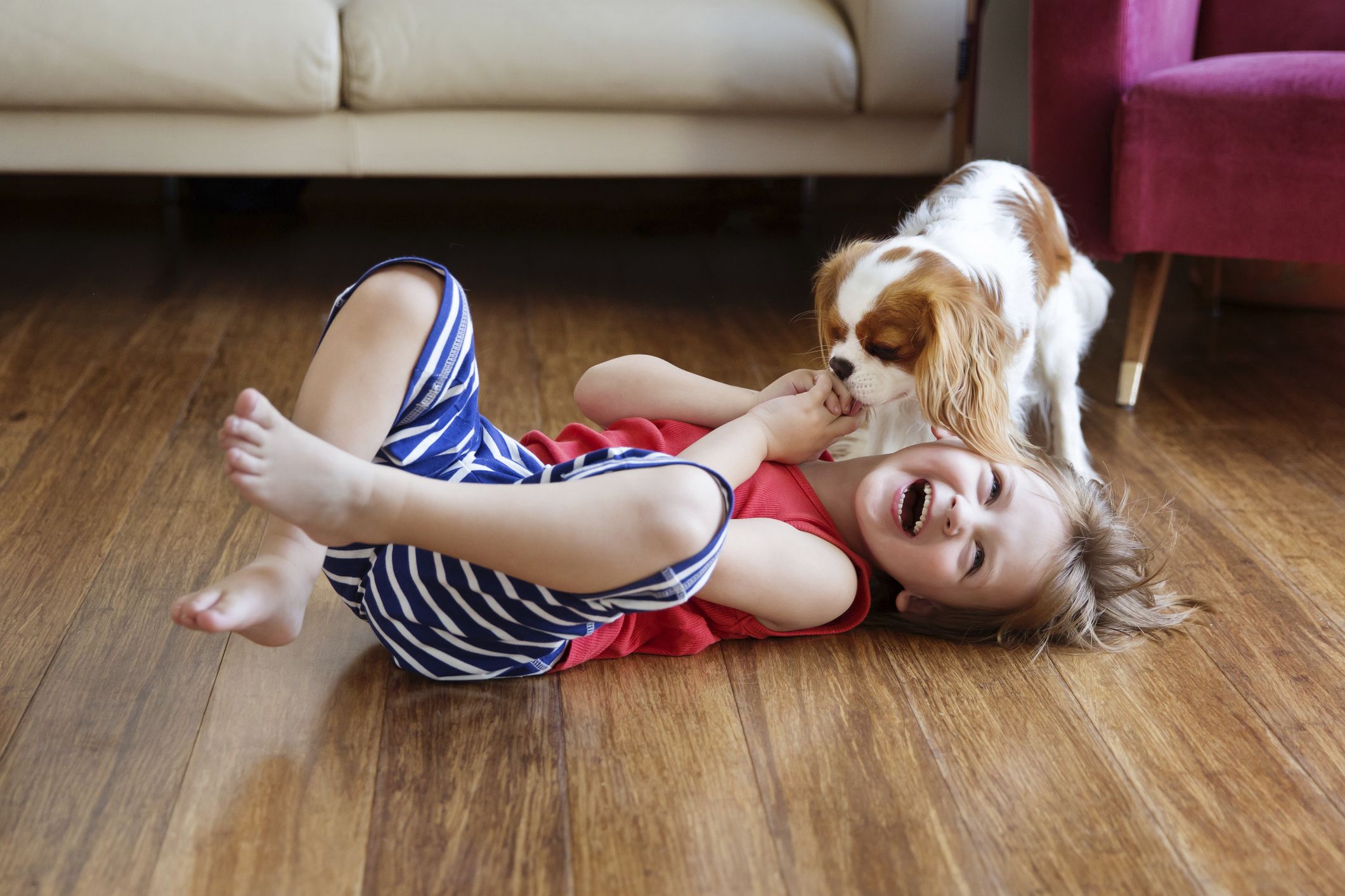 top 5 dogs for kids