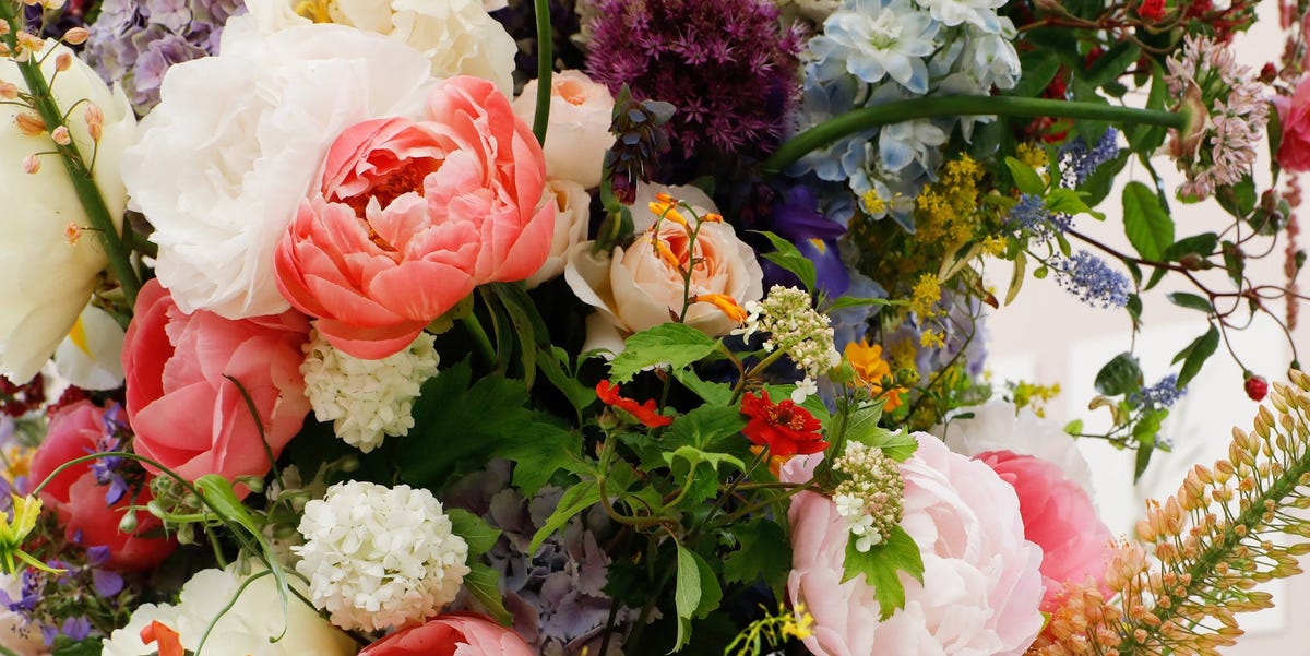 A Landscaper is Designing a Display of Flowers for an Area in a Public Park 